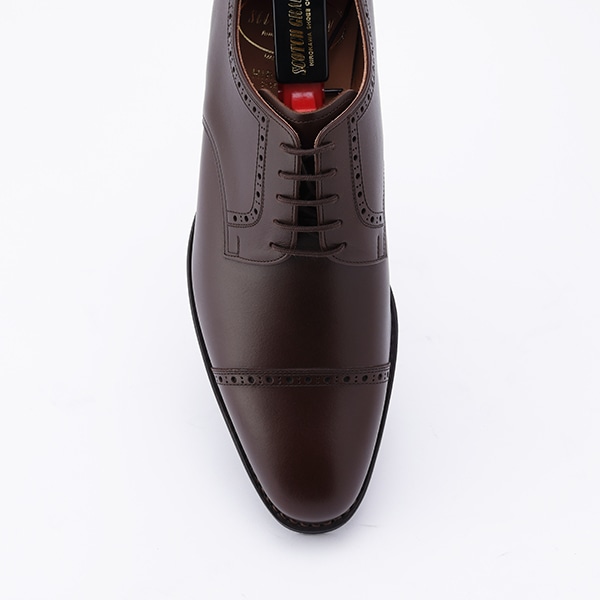 2773DBR（E） | スコッチグレイン｜SCOTCH GRAIN｜オフィシャル